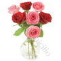 Sette rose rosse e rosa