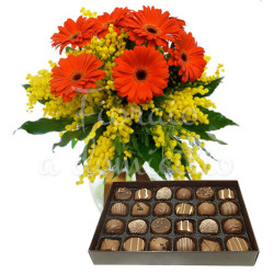 bouquet--di-gerbere-scatola-cioccolatini